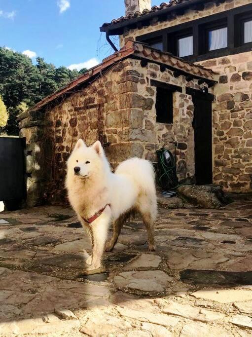 Casa Con Encanto Lagunanegra Y Urbion Vinuesa Bagian luar foto